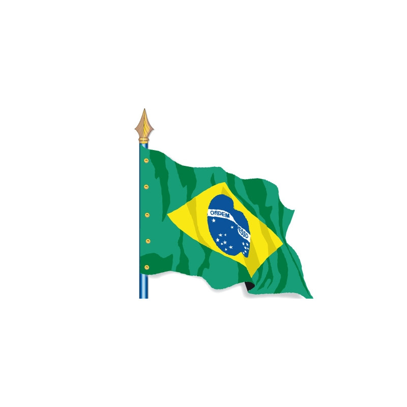 Drapeau Brésil avec hampe officielle