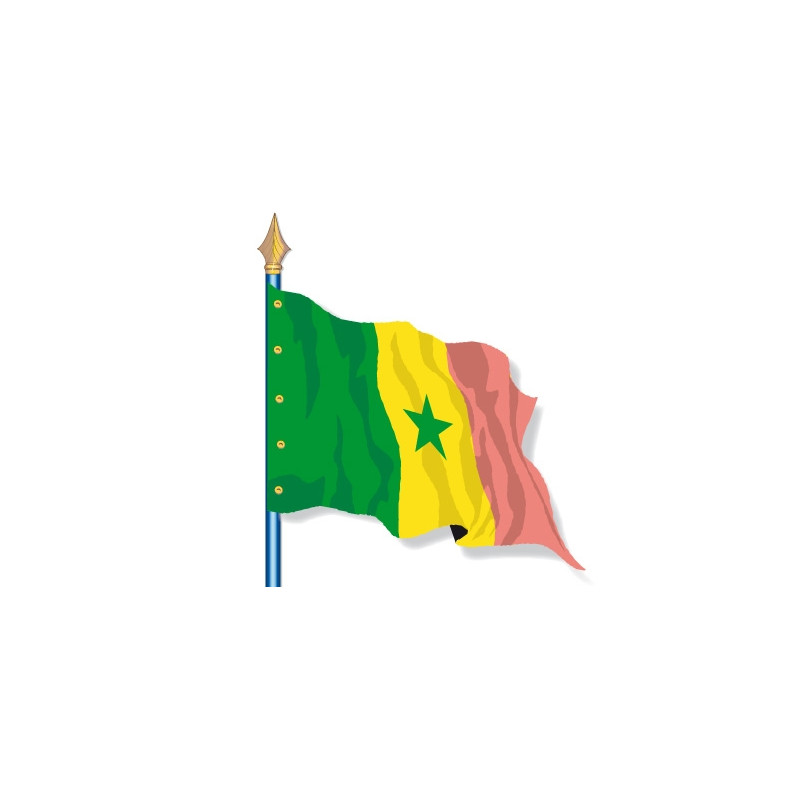 Le drapeau du Sénégal idéal pour une façade ou être agité à la main !